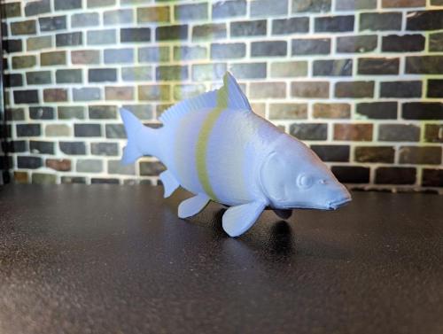 Carp, 3D printed for a fishing enthusiast